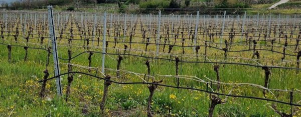 ufficio in vendita a Cavaion Veronese