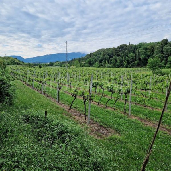 terreno agricolo in vendita a Cavaion Veronese