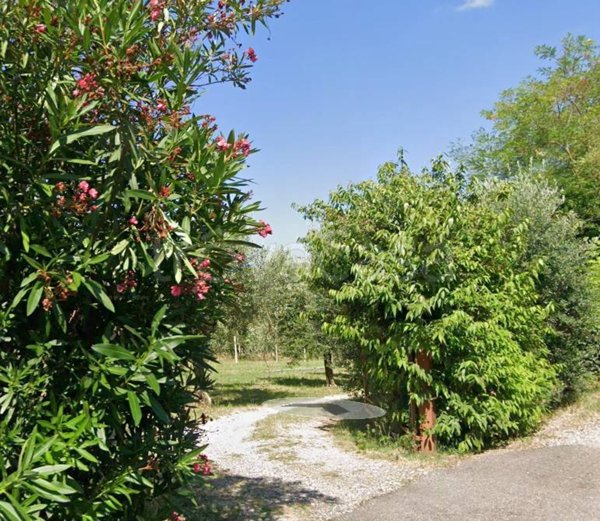terreno agricolo in vendita a Cavaion Veronese