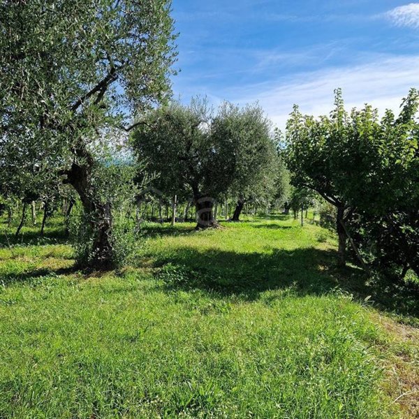 terreno agricolo in vendita a Cavaion Veronese