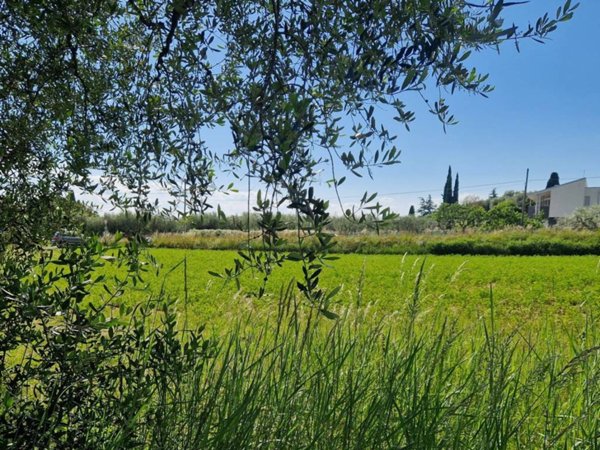 terreno agricolo in vendita a Cavaion Veronese