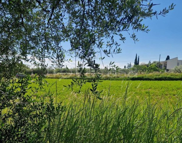 terreno agricolo in vendita a Cavaion Veronese