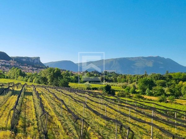 casa indipendente in vendita a Cavaion Veronese