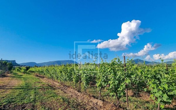 terreno agricolo in vendita a Cavaion Veronese
