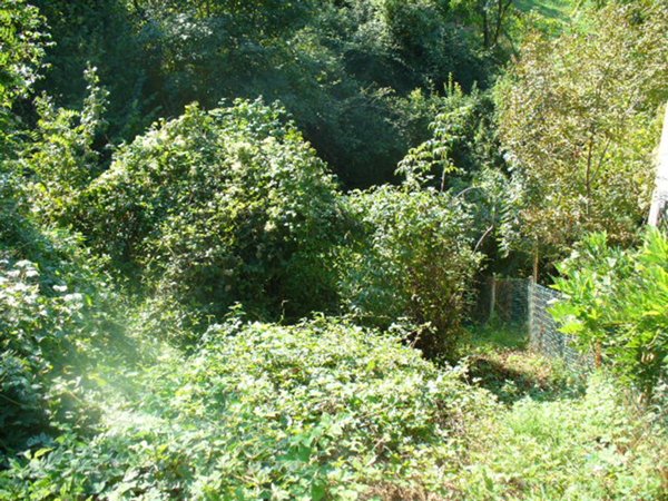 terreno agricolo in vendita a Cazzano di Tramigna