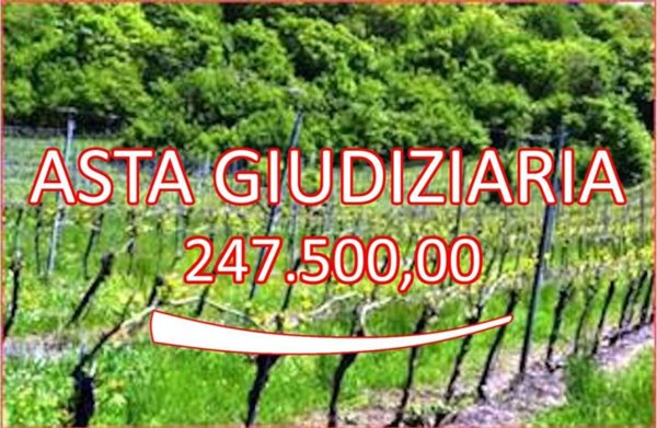 terreno agricolo in vendita a Cazzano di Tramigna in zona Campiano
