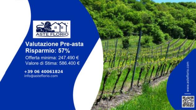 terreno agricolo in vendita a Cazzano di Tramigna in zona Campiano