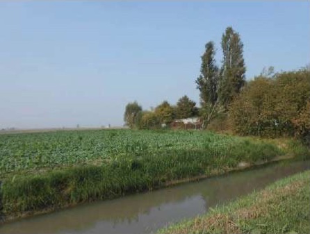 terreno edificabile in vendita a Cerea