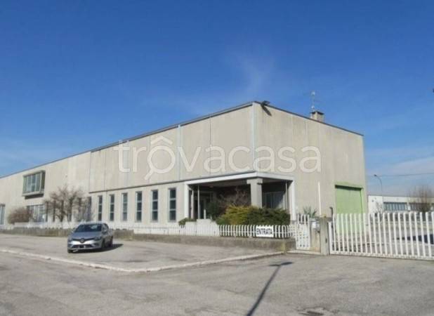 terreno edificabile in vendita a Cerea in zona Asparetto