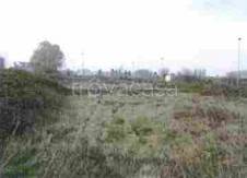 terreno agricolo in vendita a Cerea
