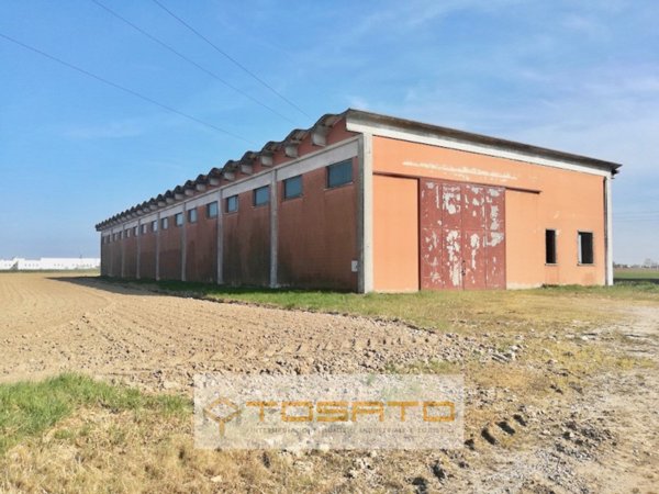 terreno edificabile in vendita a Cerea