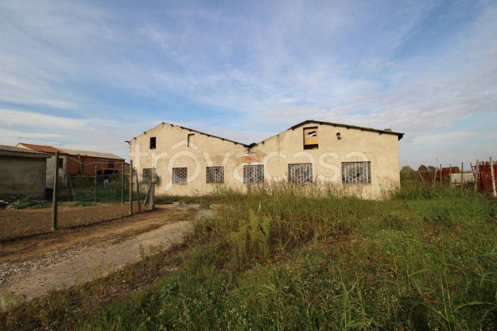 casa indipendente in vendita a Cerea