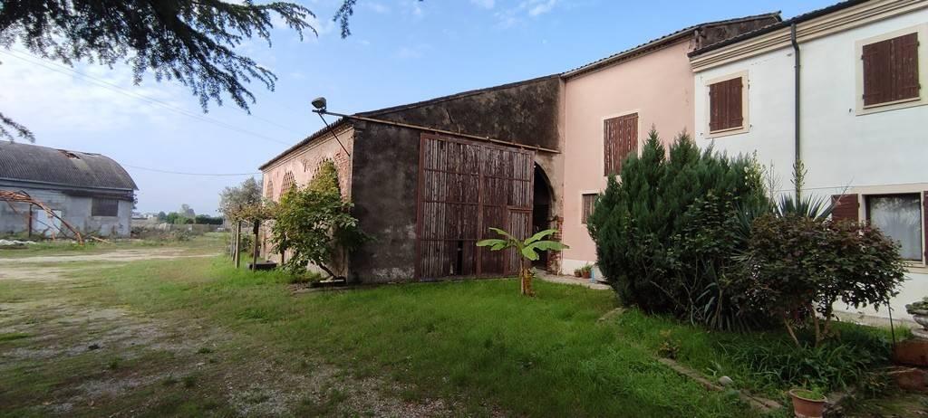 appartamento in vendita a Cerea in zona Cherubine
