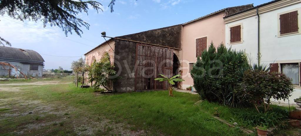 appartamento in vendita a Cerea in zona Cherubine