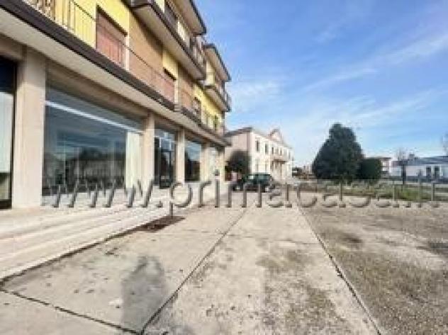 appartamento in vendita a Cerea