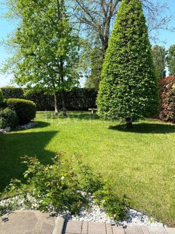 casa indipendente in vendita a Cerea