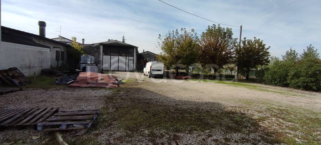 negozio in vendita a Cerea in zona Asparetto