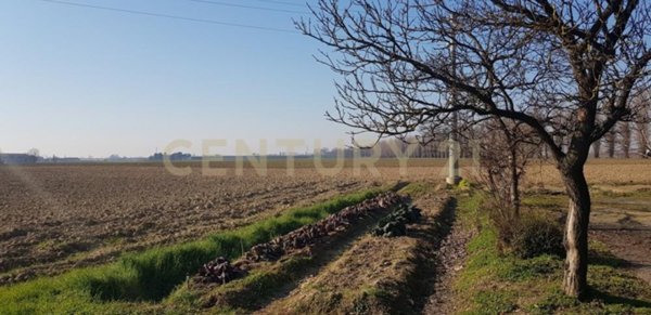 terreno agricolo in vendita a Cerea