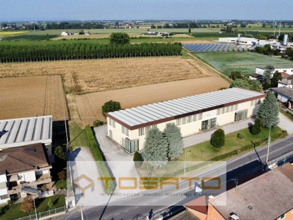 negozio in vendita a Cerea
