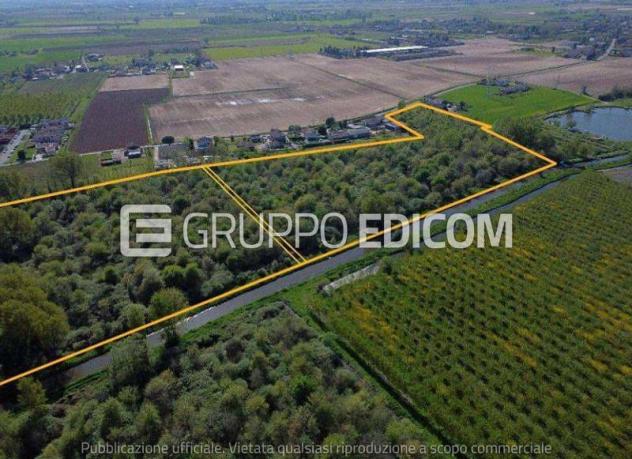 terreno agricolo in vendita a Cerea