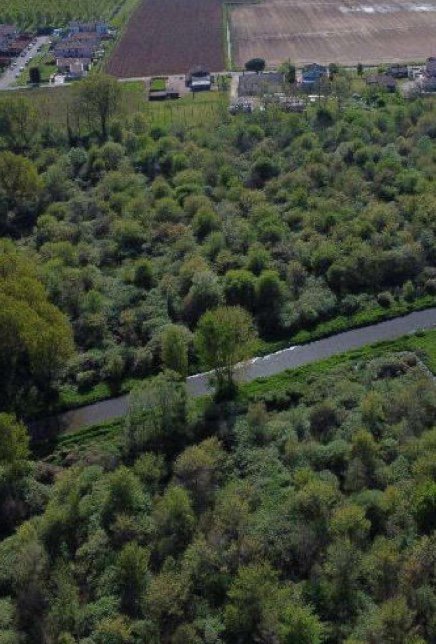 terreno edificabile in vendita a Cerea
