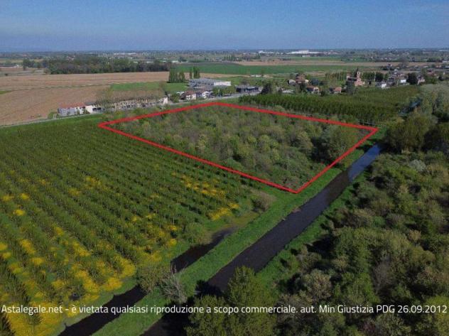terreno edificabile in vendita a Cerea