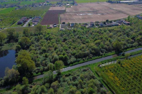 terreno agricolo in vendita a Cerea