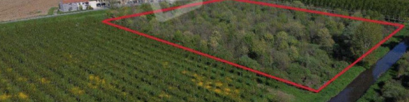 terreno edificabile in vendita a Cerea