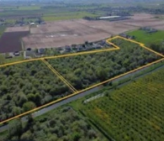 terreno edificabile in vendita a Cerea