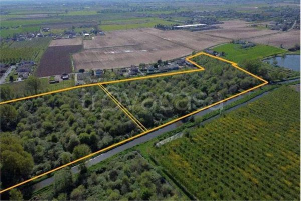 appartamento in vendita a Cerea