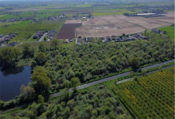 terreno agricolo in vendita a Cerea
