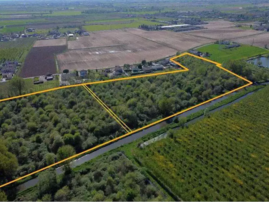 terreno agricolo in vendita a Cerea