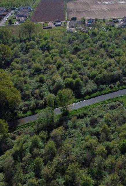 terreno edificabile in vendita a Cerea