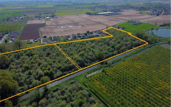terreno agricolo in vendita a Cerea