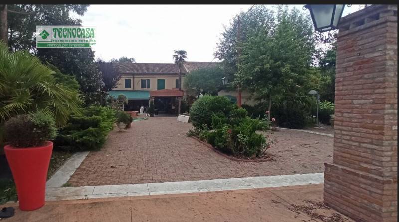negozio in vendita a Cerea in zona Palesella