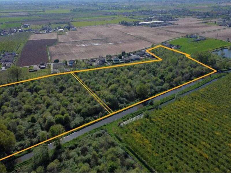 terreno agricolo in vendita a Cerea