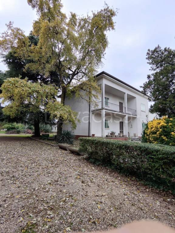 casa indipendente in vendita a Cerea