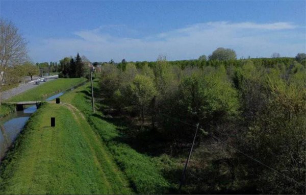 terreno agricolo in vendita a Cerea