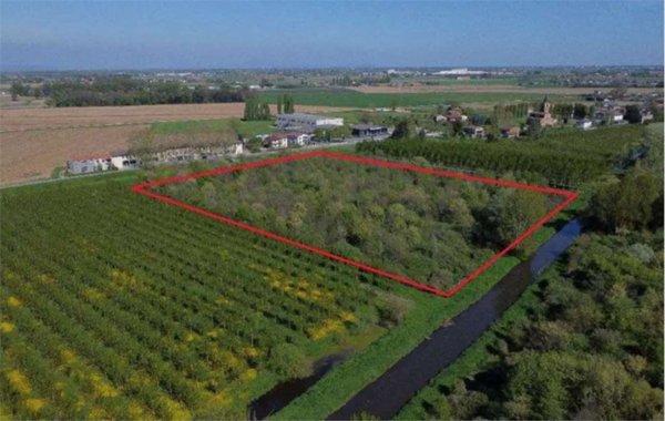 terreno agricolo in vendita a Cerea