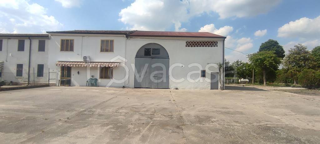 casa indipendente in vendita a Cerea in zona Asparetto