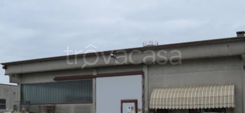 negozio in vendita a Cerea in zona Cherubine