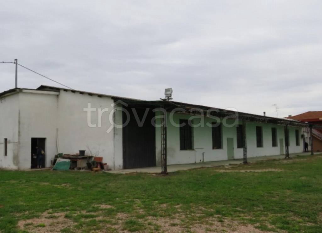 negozio in vendita a Cerea in zona Cherubine
