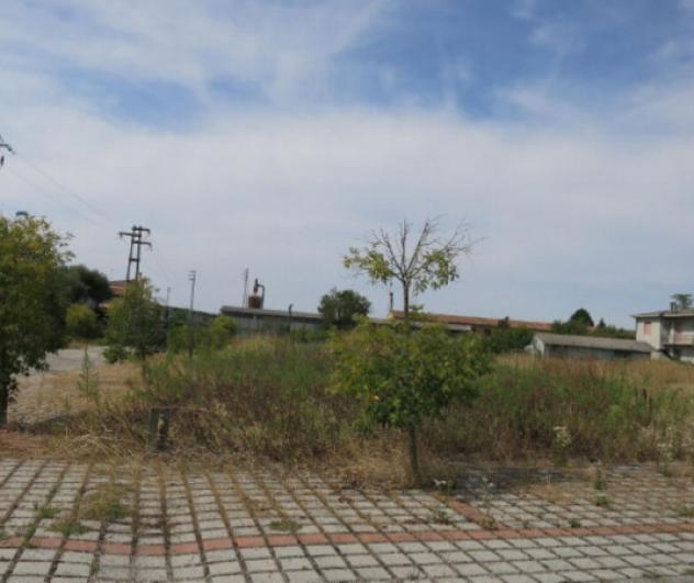 terreno edificabile in vendita a Cerea