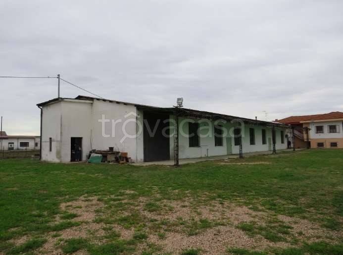 negozio in vendita a Cerea in zona Cherubine