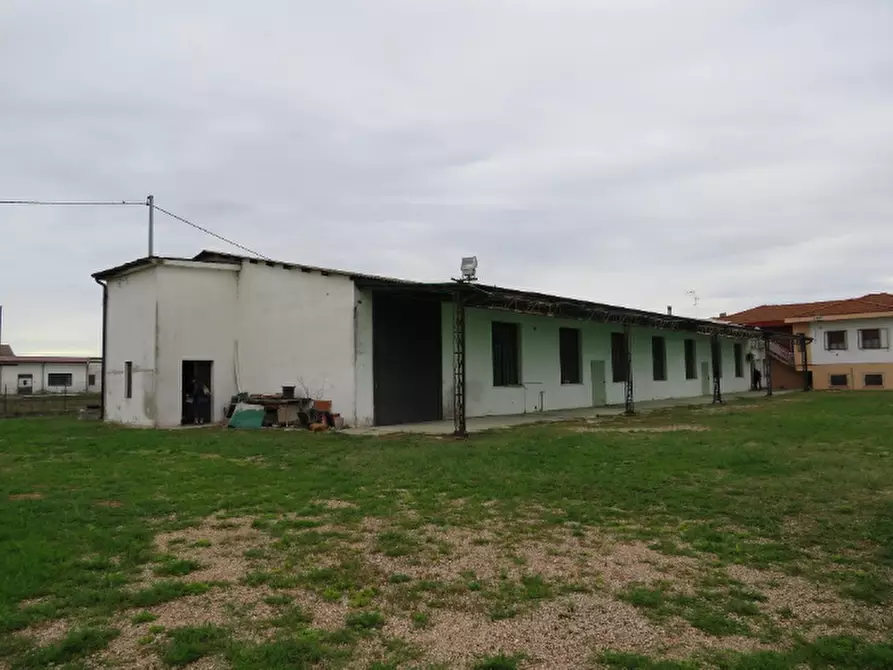 ufficio in vendita a Cerea in zona Cherubine