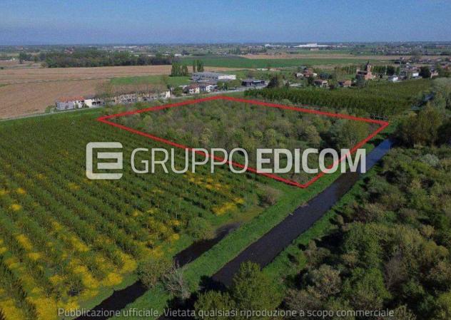 terreno agricolo in vendita a Cerea