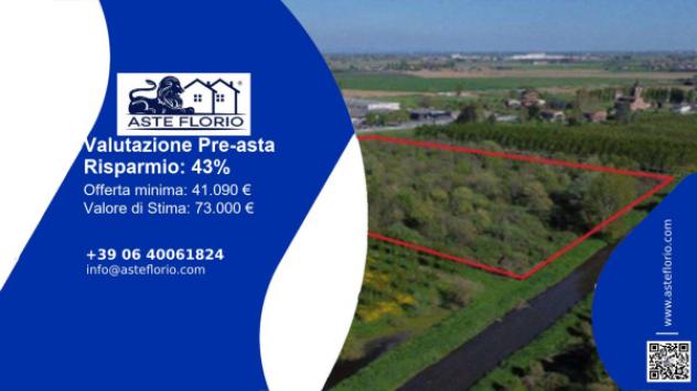 terreno agricolo in vendita a Cerea
