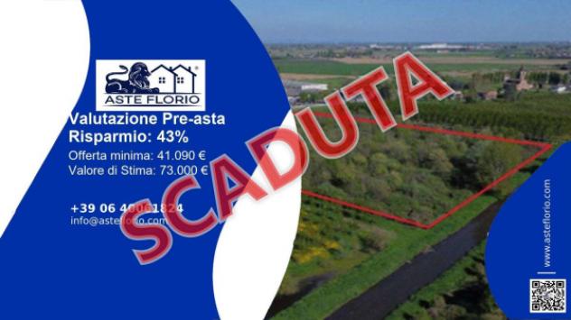 terreno agricolo in vendita a Cerea