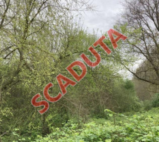 terreno agricolo in vendita a Cerea