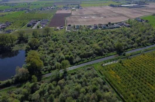 terreno agricolo in vendita a Cerea